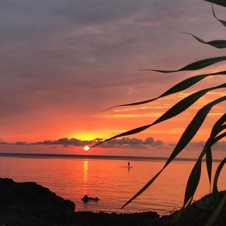 Tropical Surf House Okinawa Hotel Onna Luaran gambar