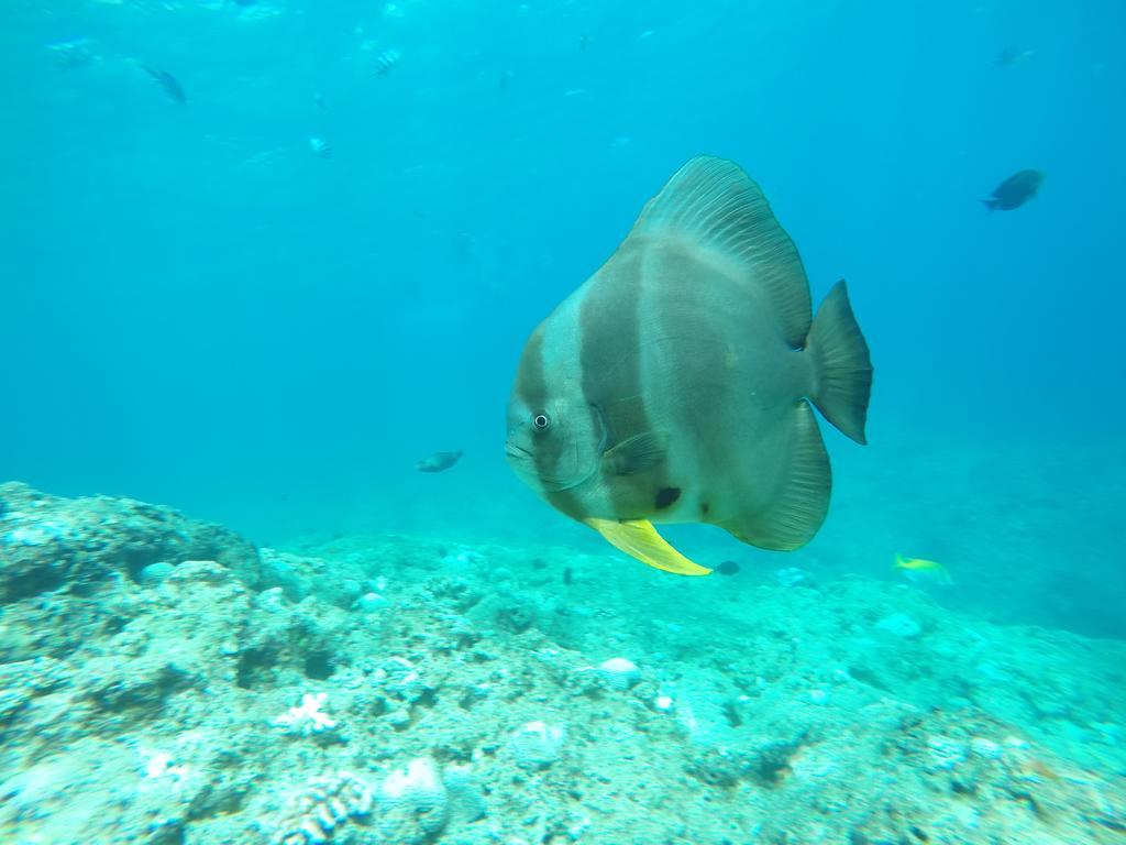 Tropical Surf House Okinawa Hotel Onna Luaran gambar