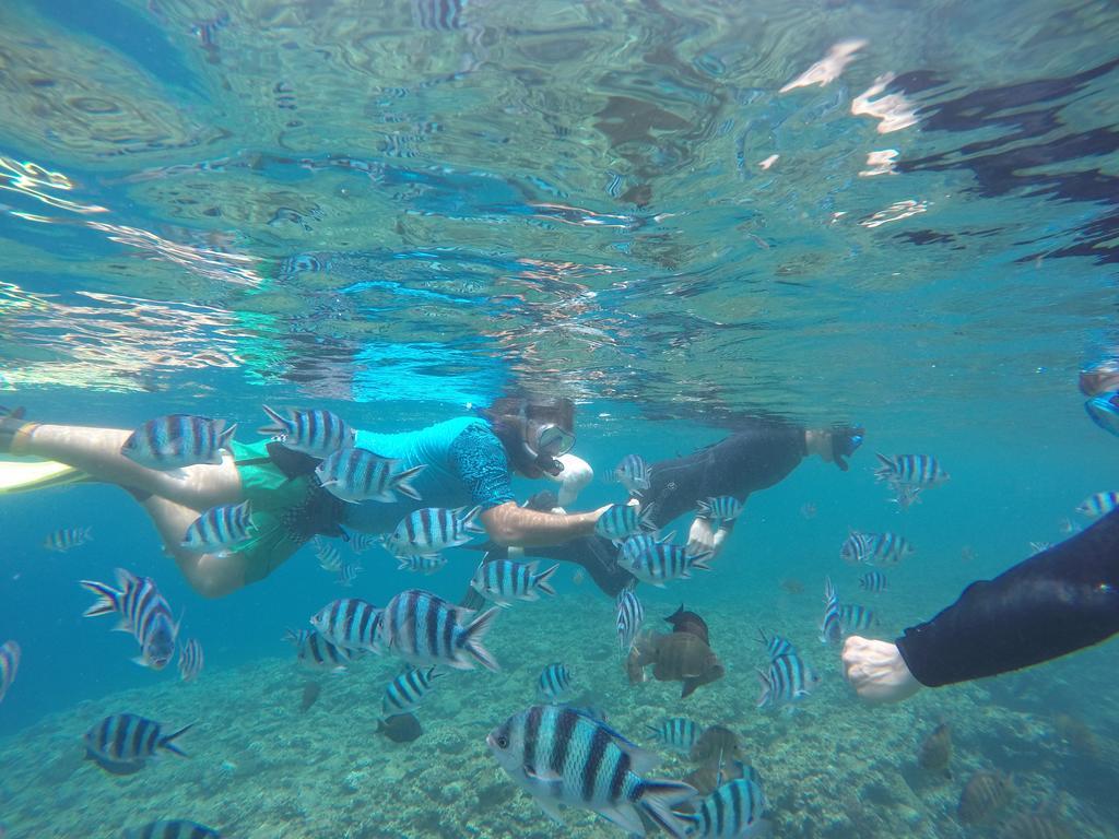 Tropical Surf House Okinawa Hotel Onna Luaran gambar
